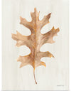 “Fallen Leaf I Texture“, Danhui Nai