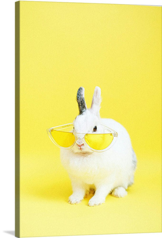 “Cool Bunny”, Anna Shvets