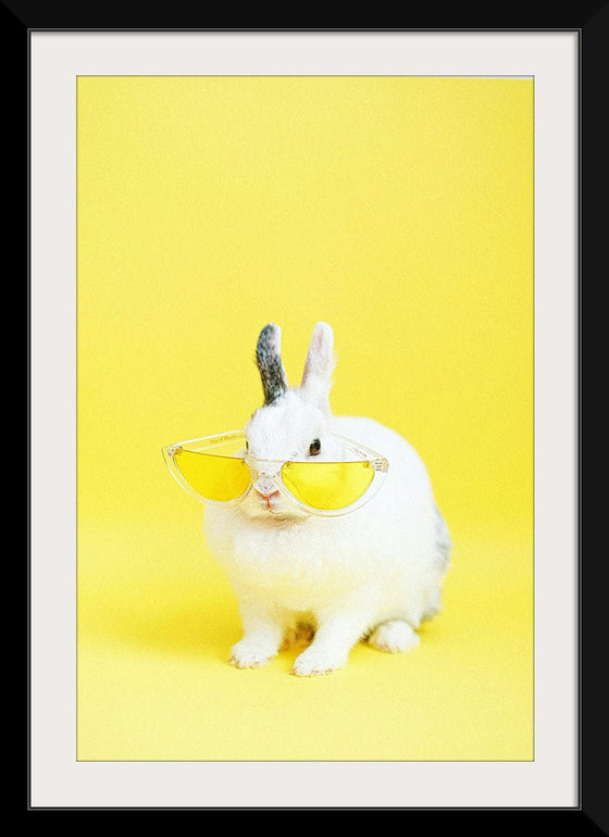 “Cool Bunny”, Anna Shvets