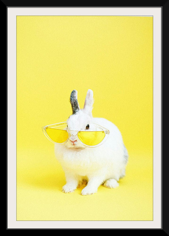 “Cool Bunny”, Anna Shvets