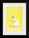 “Cool Bunny”, Anna Shvets