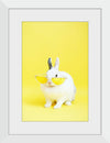 “Cool Bunny”, Anna Shvets