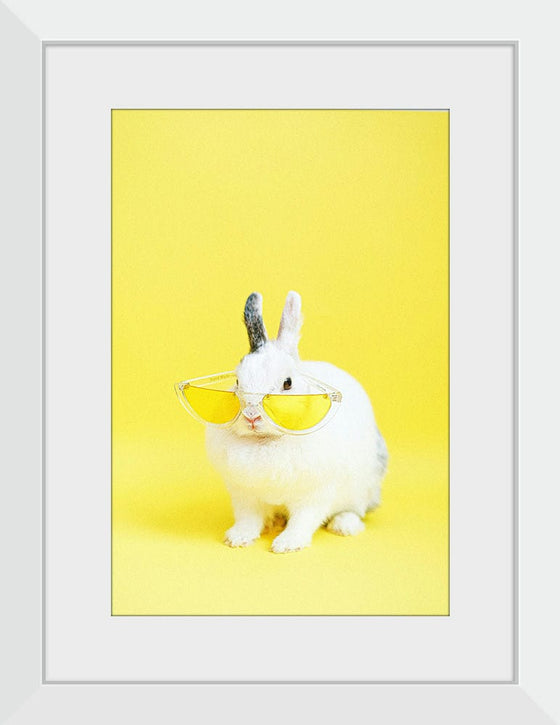 “Cool Bunny”, Anna Shvets