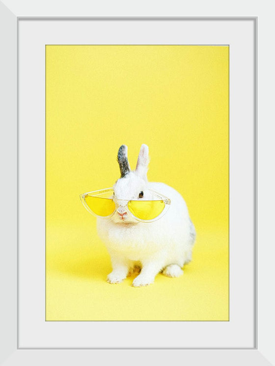 “Cool Bunny”, Anna Shvets