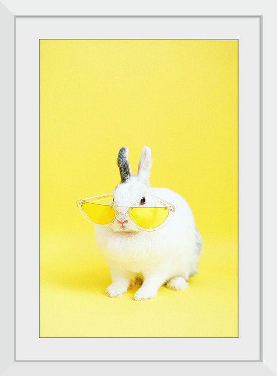 “Cool Bunny”, Anna Shvets