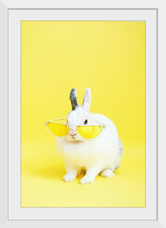 “Cool Bunny”, Anna Shvets