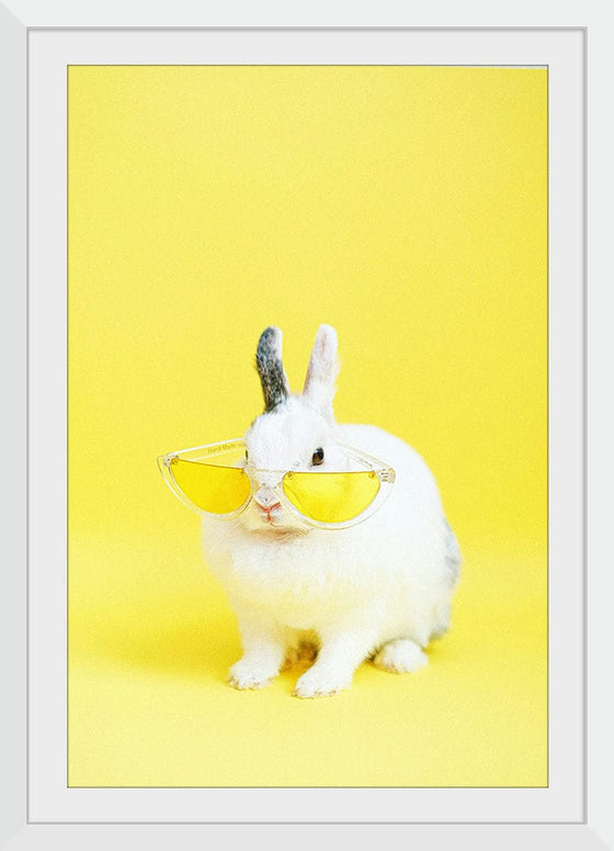 “Cool Bunny”, Anna Shvets