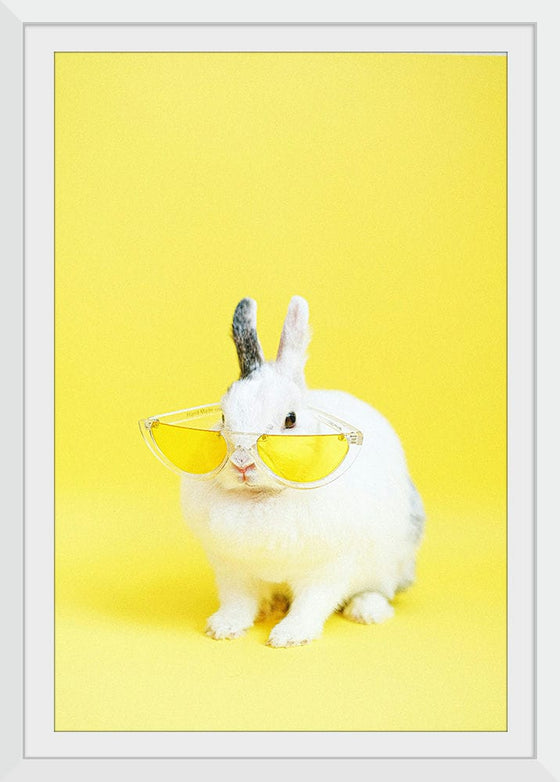 “Cool Bunny”, Anna Shvets