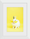 “Cool Bunny”, Anna Shvets