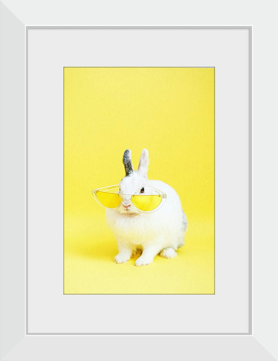 “Cool Bunny”, Anna Shvets