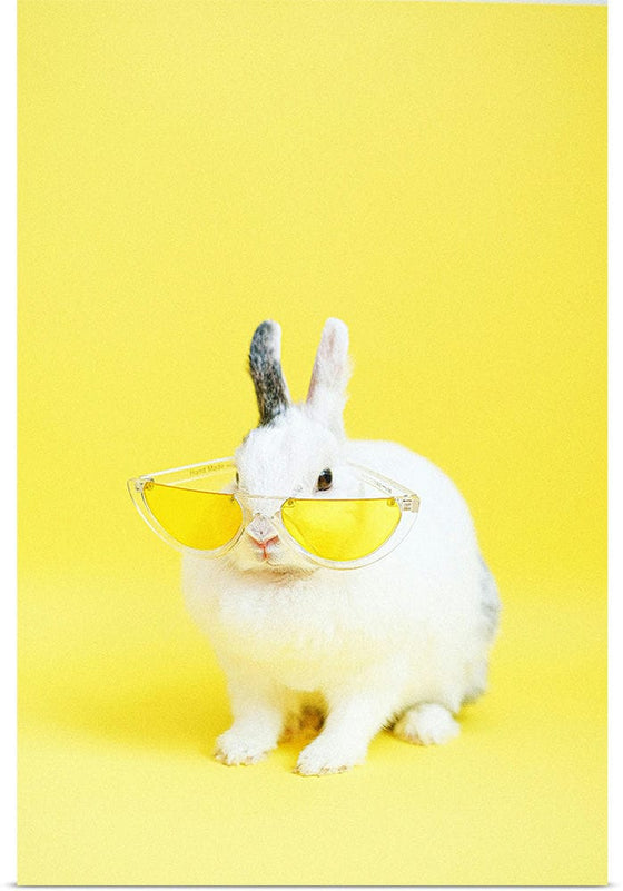 “Cool Bunny”, Anna Shvets