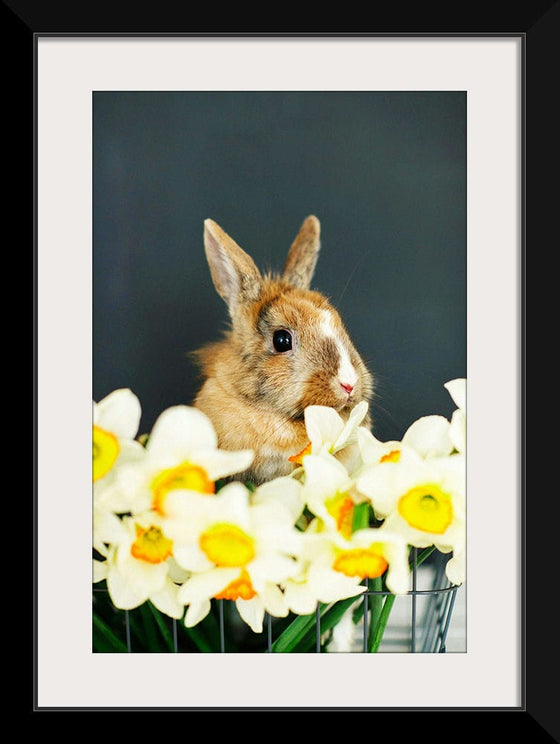 “Rabbit With A Beautiful View”, Ivan Samkov