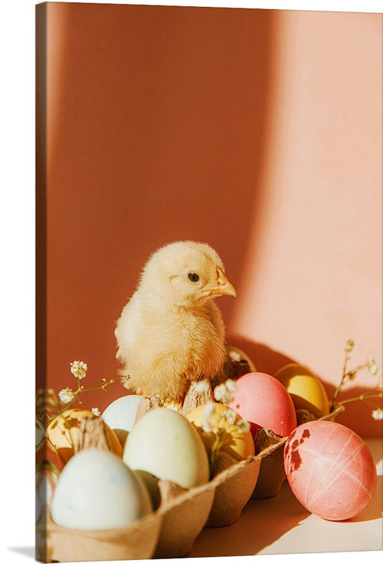 “Chick On Eggs”, Roman Odintsov