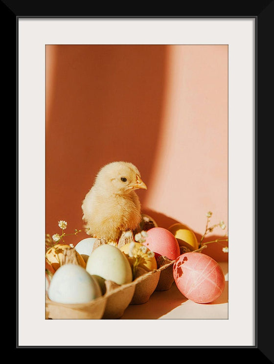 “Chick On Eggs”, Roman Odintsov