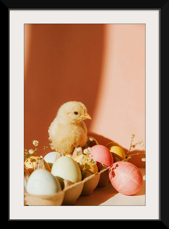 “Chick On Eggs”, Roman Odintsov