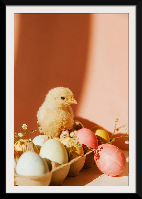 “Chick On Eggs”, Roman Odintsov