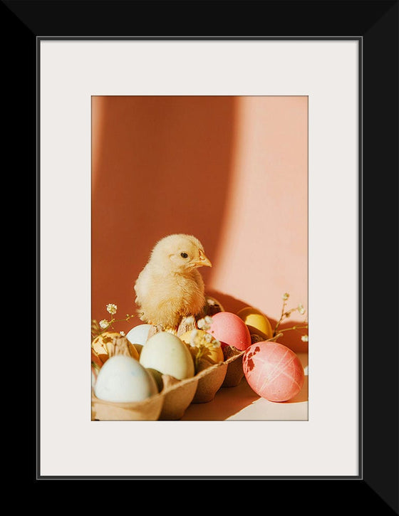 “Chick On Eggs”, Roman Odintsov