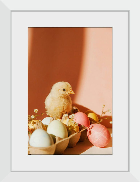 “Chick On Eggs”, Roman Odintsov