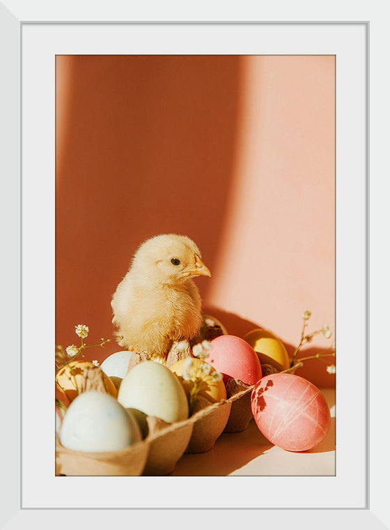 “Chick On Eggs”, Roman Odintsov