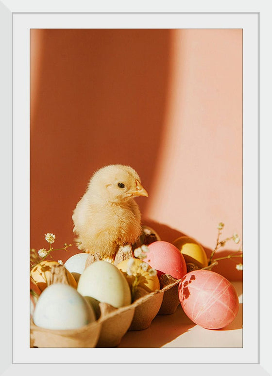 “Chick On Eggs”, Roman Odintsov