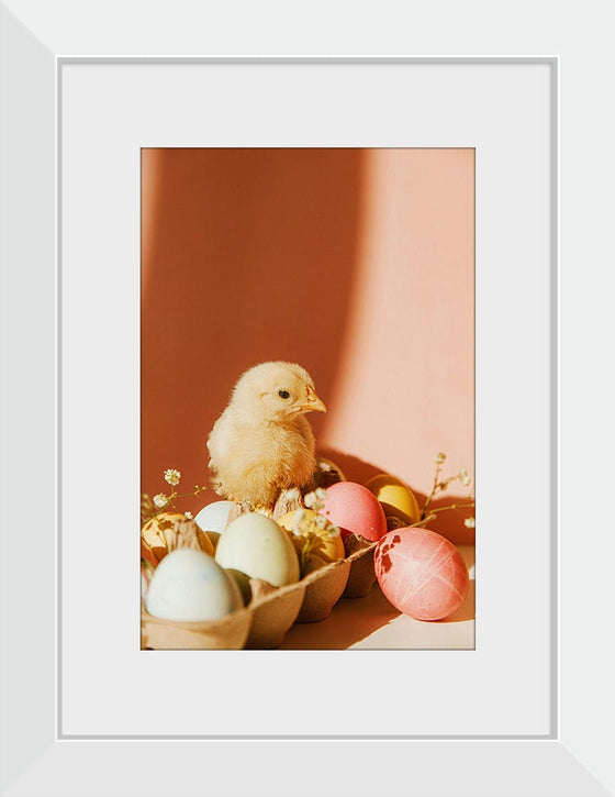 “Chick On Eggs”, Roman Odintsov