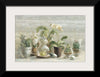“Greenhouse Orchids on Wood“, Danhui Nai