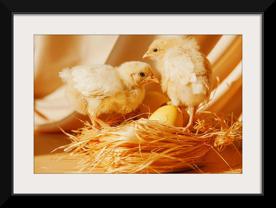 “Chicks In A Nest ”, Roman Odintsov