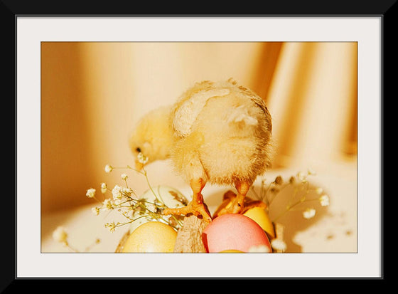 “Baby Chick ”, Roman Odintsov