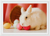 “White Easter Rabbit ”, Roman Odintsov