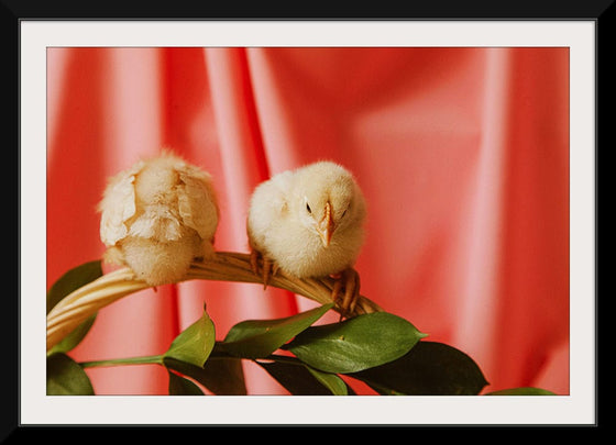 “Chicks On An Easter Basket Handle ”, Roman Odintsov