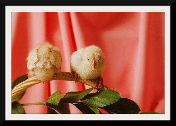 “Chicks On An Easter Basket Handle ”, Roman Odintsov