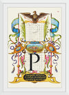 “Guide For Constructing The Letter P",  Joris Hoefnagel