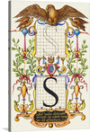 “Guide For Constructing The Letter S",  Joris Hoefnagel