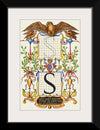 “Guide For Constructing The Letter S",  Joris Hoefnagel