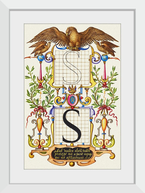 “Guide For Constructing The Letter S",  Joris Hoefnagel