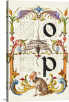 “Guide For Constructing The Letters O And P",  Joris Hoefnagel