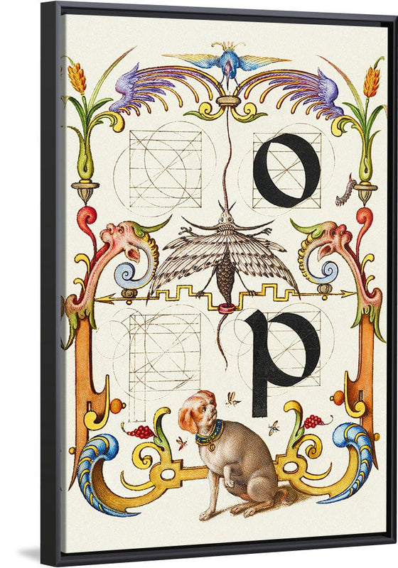 “Guide For Constructing The Letters O And P",  Joris Hoefnagel