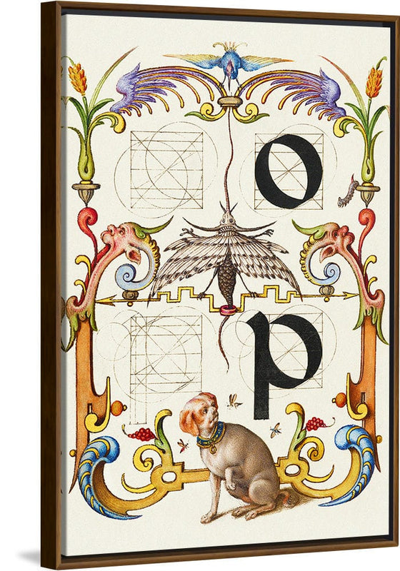 “Guide For Constructing The Letters O And P",  Joris Hoefnagel