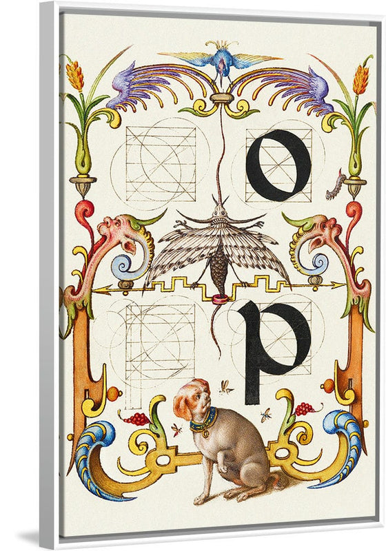 “Guide For Constructing The Letters O And P",  Joris Hoefnagel