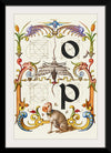 “Guide For Constructing The Letters O And P",  Joris Hoefnagel