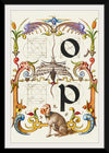 “Guide For Constructing The Letters O And P",  Joris Hoefnagel