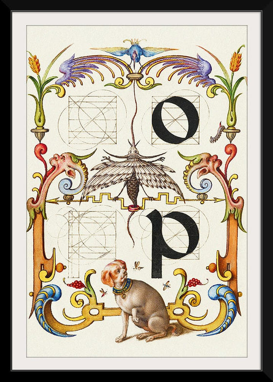 “Guide For Constructing The Letters O And P",  Joris Hoefnagel