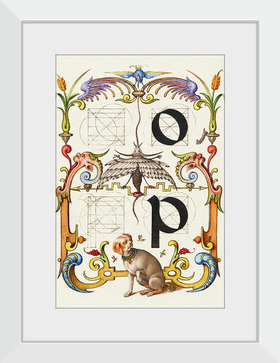 “Guide For Constructing The Letters O And P",  Joris Hoefnagel