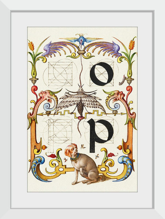 “Guide For Constructing The Letters O And P",  Joris Hoefnagel