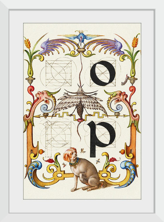 “Guide For Constructing The Letters O And P",  Joris Hoefnagel