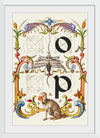 “Guide For Constructing The Letters O And P",  Joris Hoefnagel