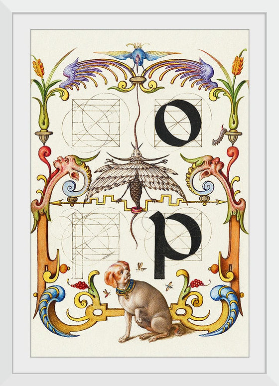 “Guide For Constructing The Letters O And P",  Joris Hoefnagel