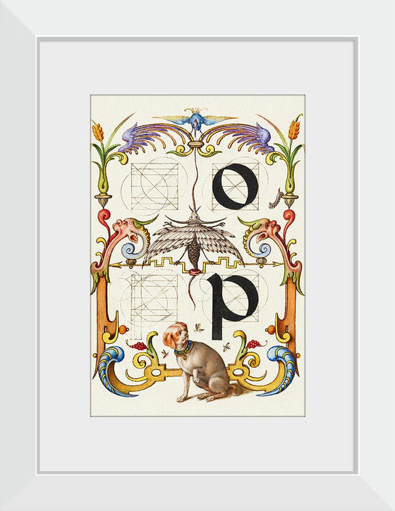 “Guide For Constructing The Letters O And P",  Joris Hoefnagel