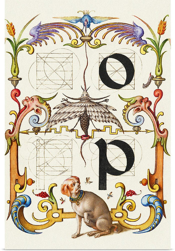 “Guide For Constructing The Letters O And P",  Joris Hoefnagel