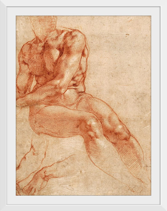 "Seated Young Male Nude and Two Arm Studies(1510-1511)", Michelangelo Buonarroti